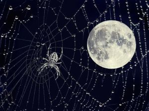 a3407454ba1d7b0baeab8ba455cbc22c